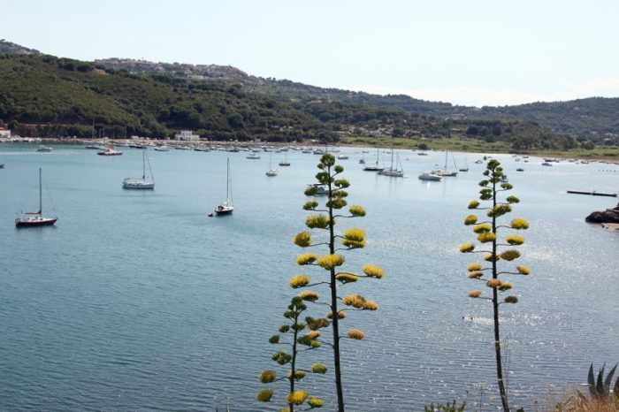 dove_siamo_15-1774322176